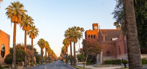 Capture the beauty of Los Angeles with palm silhouettes against a stunning sunset skyline.