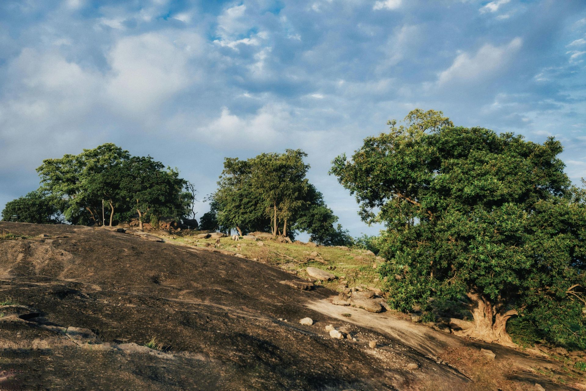 Beautiful rocky terrain with lush green trees under a clear blue sky in Ado Ekiti, Nigeria.