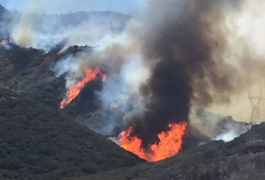 A joyful family comprising parents and a baby relaxing together on the grass in a park.